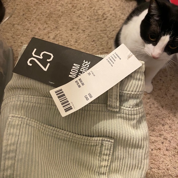 🚫SOLD🚫 Urban Outfitter Mon high rise pants 👖 - Picture 4 of 4